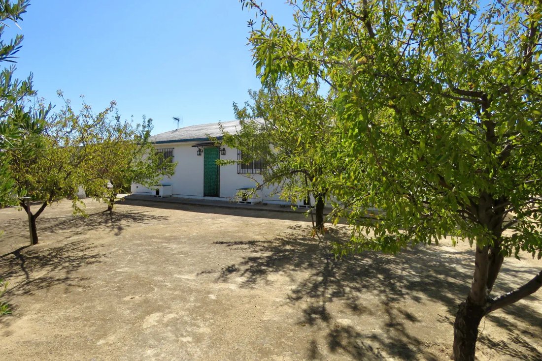 Country House in Osuna, Andalusia, Spain 5 - 10726927