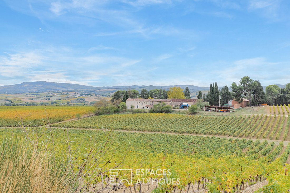 Villa in Petite Ville, Limoux, France 5 - 19047693