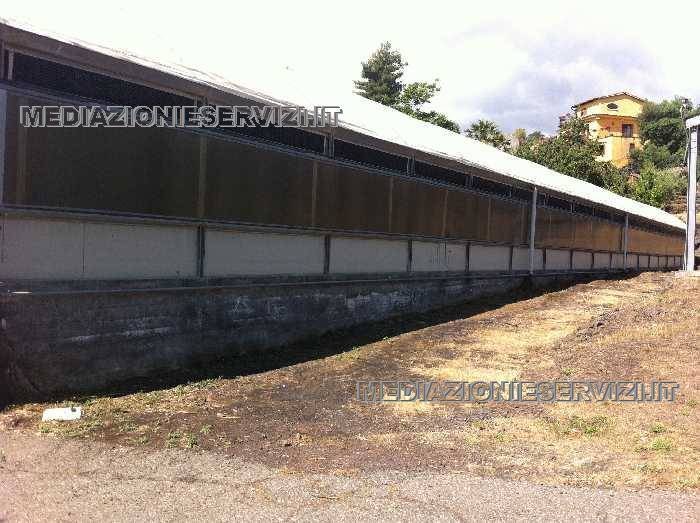 Azienda agricola a Mascali, Sicilia, Italia 3 - 19048499
