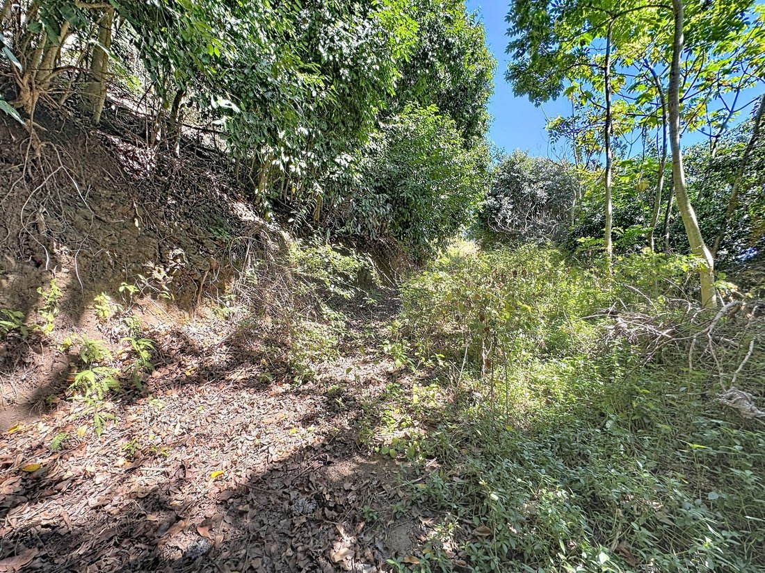 Land in Arue, Inseln über dem Winde, Französisch-Polynesien 1 - 18781331
