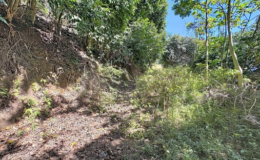 Land in Arue, Windward Islands, French Polynesia 1