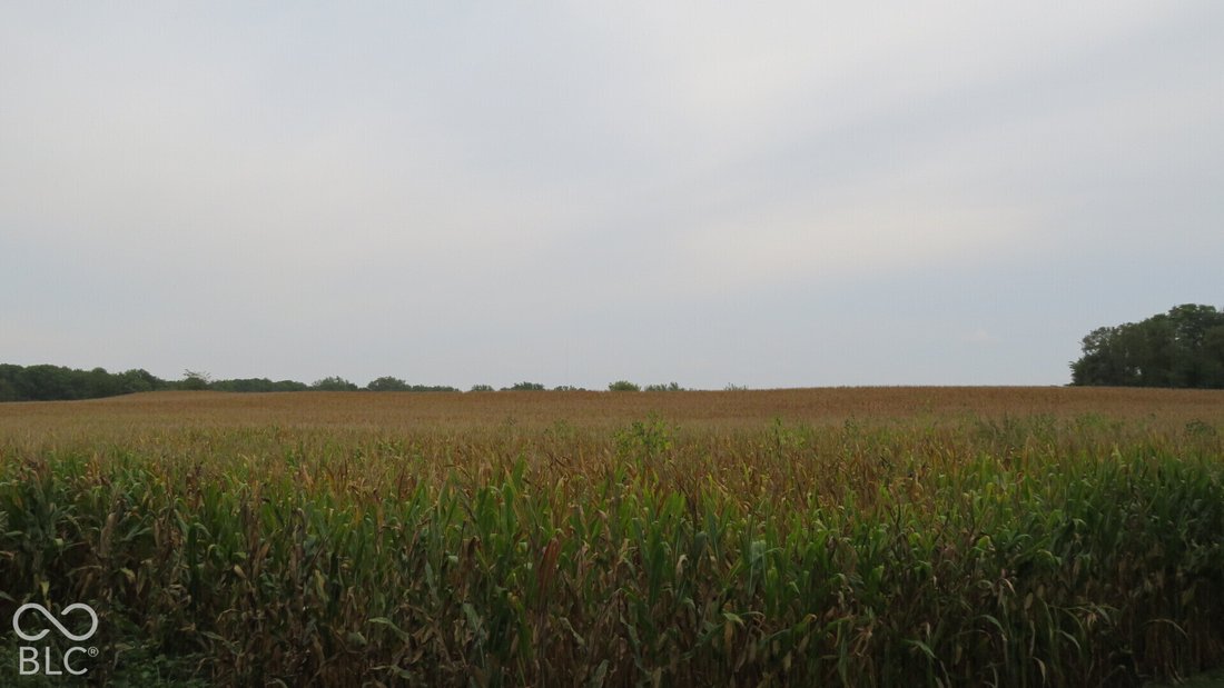 Farm Ranch in Crawfordsville, Indiana, United States 2 - 19047480