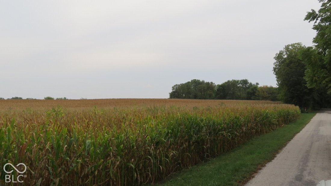 Farm Ranch in Crawfordsville, Indiana, United States 1 - 19047480
