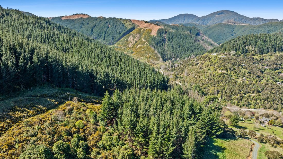 Land in Nelson, Nelson, Neuseeland 3 - 19047988
