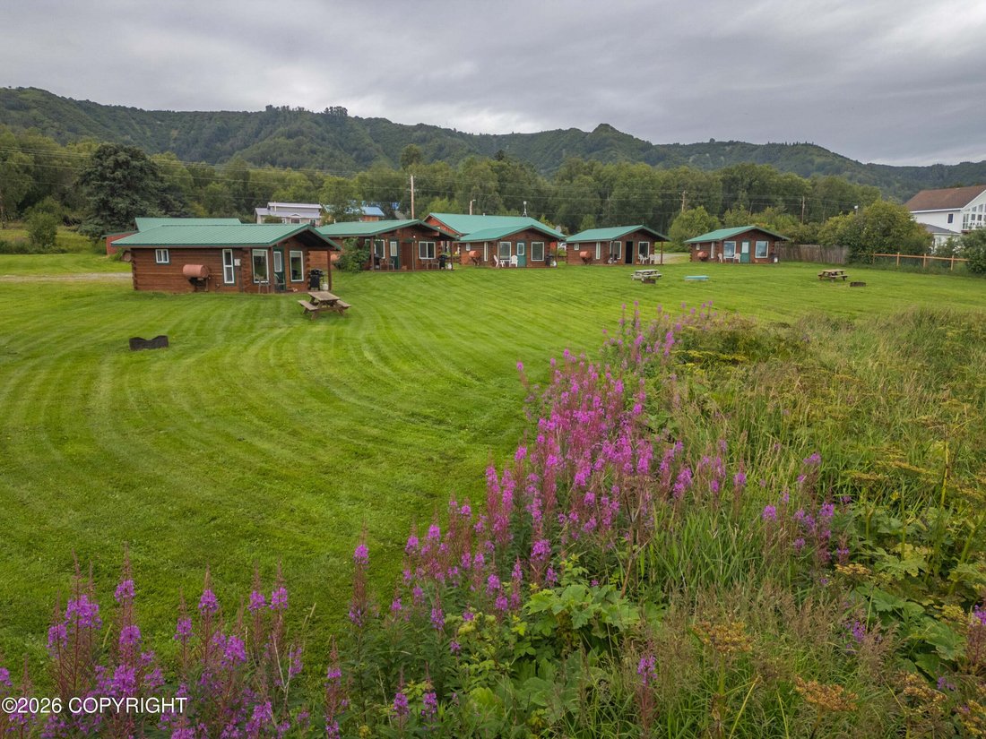 Andere in Homer, Alaska, Vereinigte Staaten 1 - 19048295