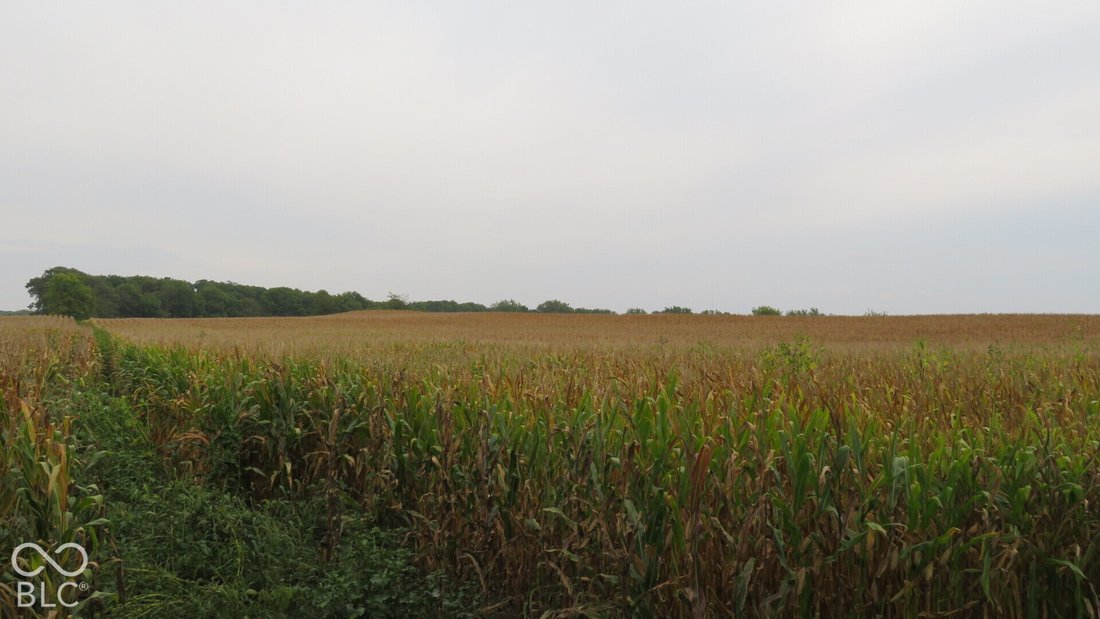 Farm Ranch in Crawfordsville, Indiana, United States 4 - 19047480