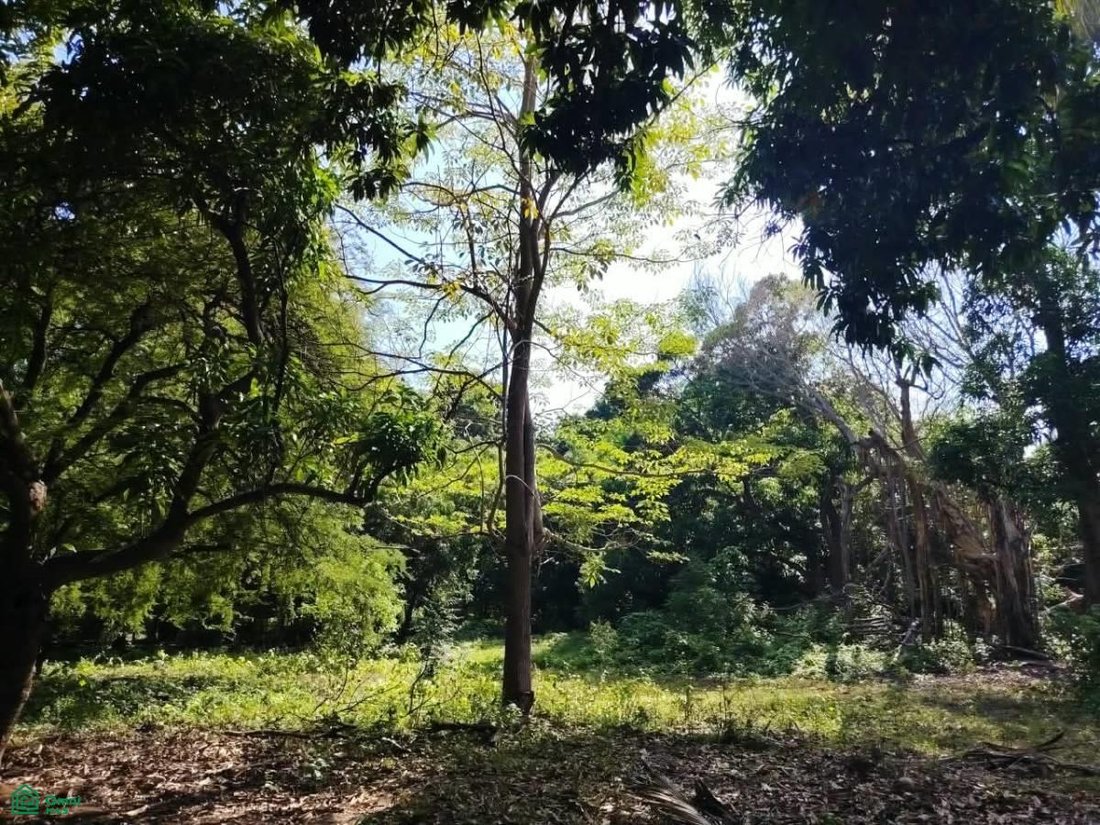 Terreno en El Colomo, Colima, México 3 - 19023579