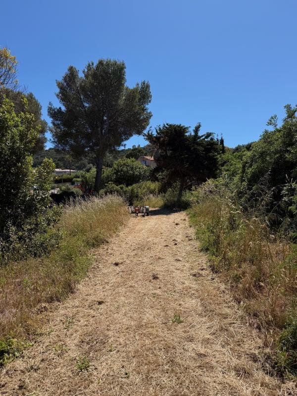 Terreno a Hyères, Provenza-Alpi-Costa Azzurra, Francia 1 - 19046842