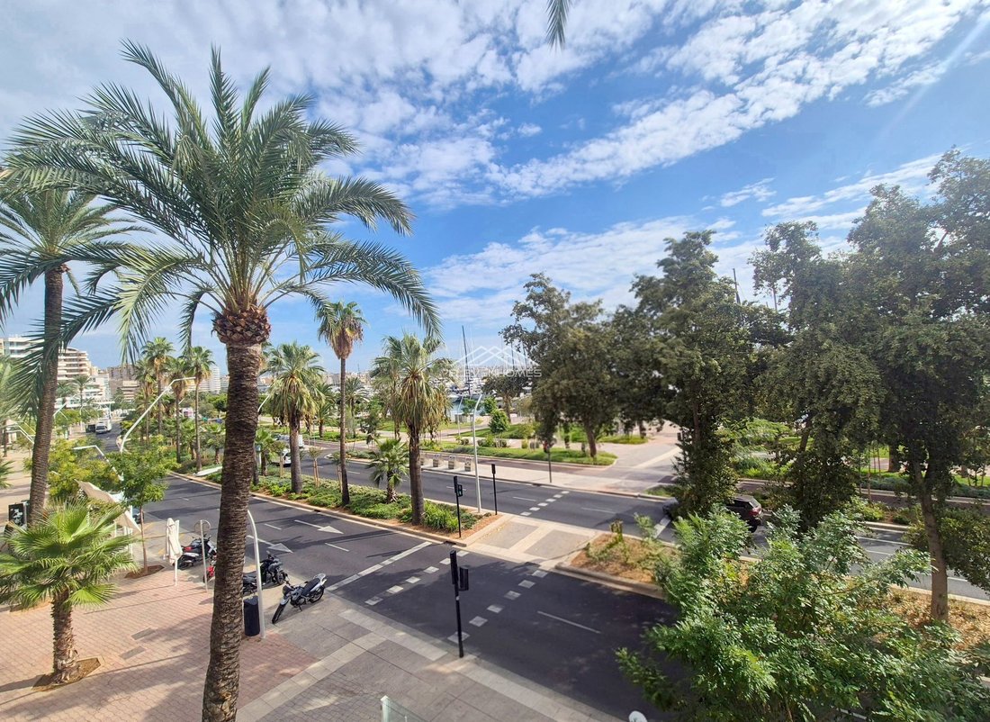 Apartment in Palma, Balearic Islands, Spain 2 - 19048779