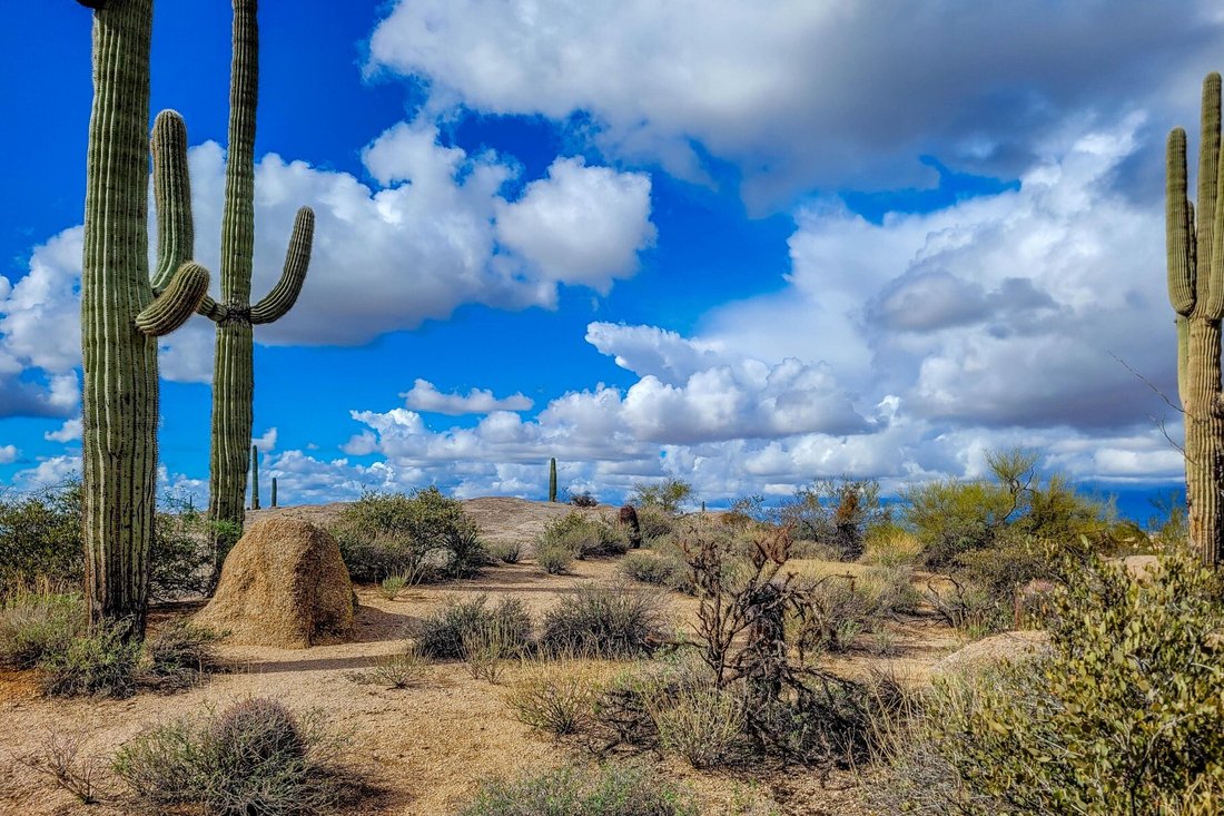 Land in Scottsdale, Arizona, Vereinigte Staaten 5 - 19041952