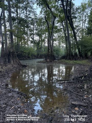 Land in Columbia, Louisiana, Vereinigte Staaten 3 - 19048413