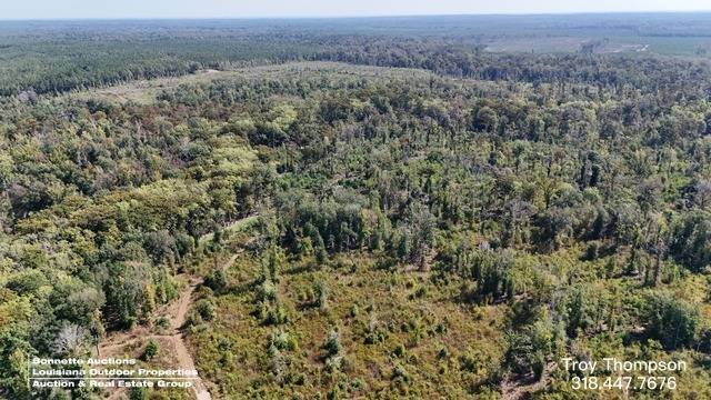 Land in Columbia, Louisiana, Vereinigte Staaten 2 - 19048413