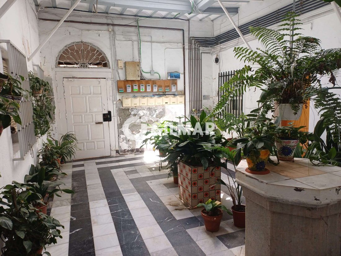 Andere in El Pinar, Andalusien, Spanien 3 - 19046739