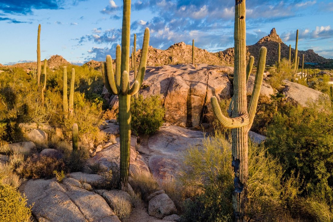 Land in Scottsdale, Arizona, Vereinigte Staaten 3 - 19041952