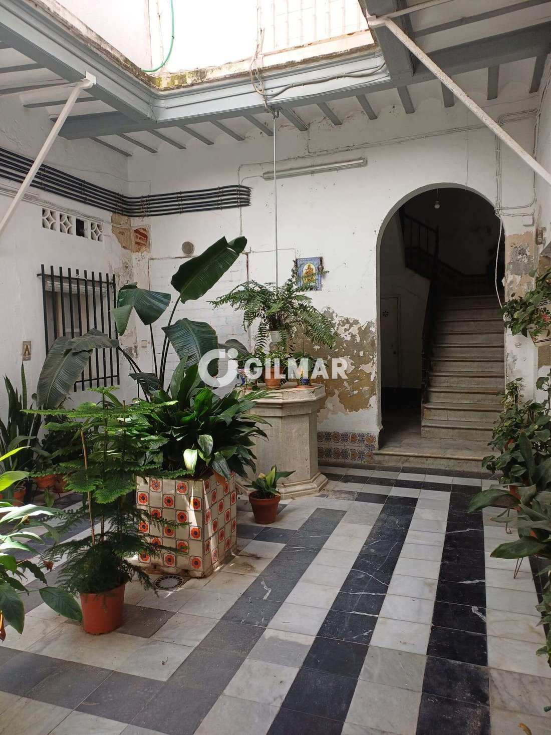 Andere in El Pinar, Andalusien, Spanien 4 - 19046739