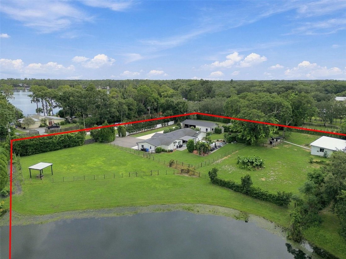 House in Odessa, Florida, United States 3 - 19048541