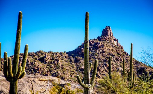 Terrain à Scottsdale, Arizona, États-Unis 1