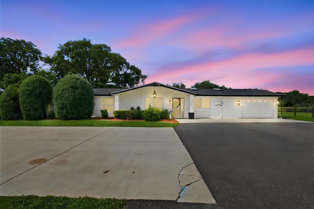 House in Odessa, Florida, United States 5 - 19048541
