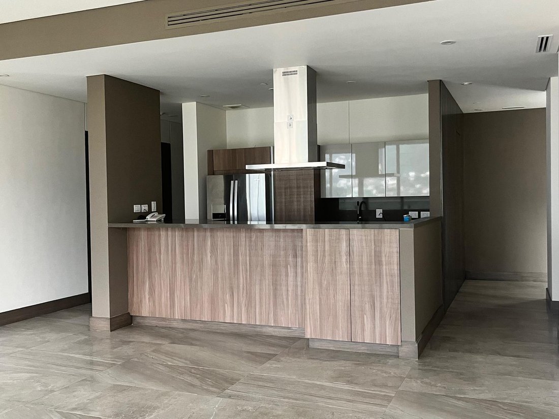 Apartment in San Pedro Garza García, Nuevo Leon, Mexico 2 - 19045243