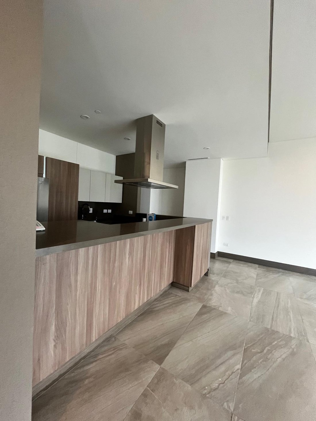Apartment in San Pedro Garza García, Nuevo Leon, Mexico 4 - 19045243
