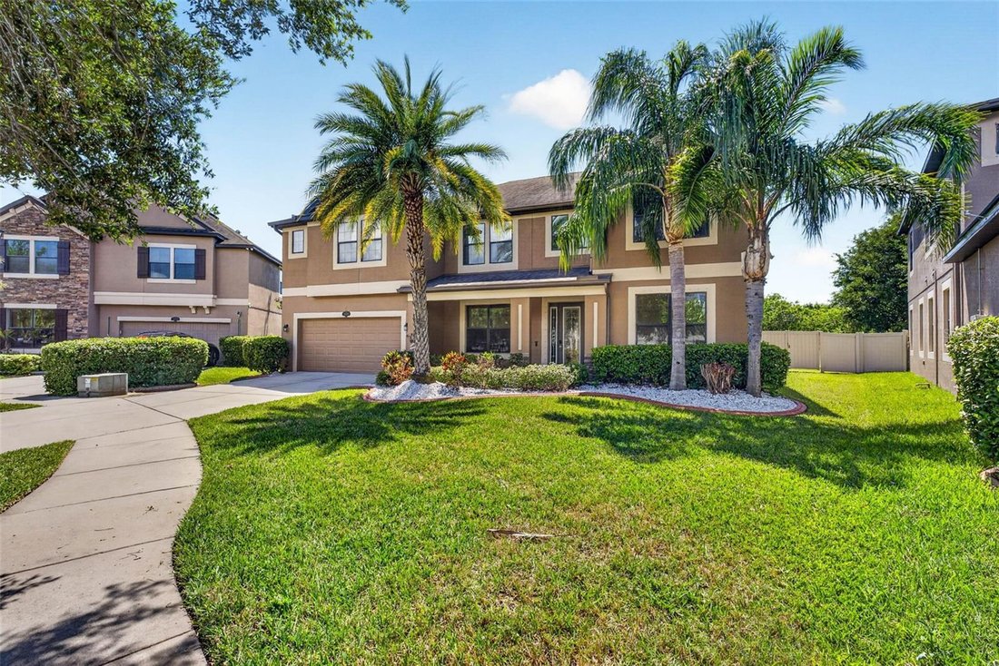 House in Riverview, Florida, United States 1 - 19046172