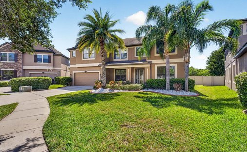 Casa en Riverview, Florida, Estados Unidos 1