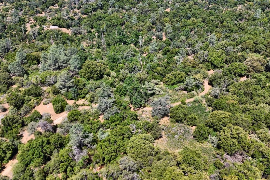 Land in Oakhurst, Kalifornien, Vereinigte Staaten 5 - 19048826