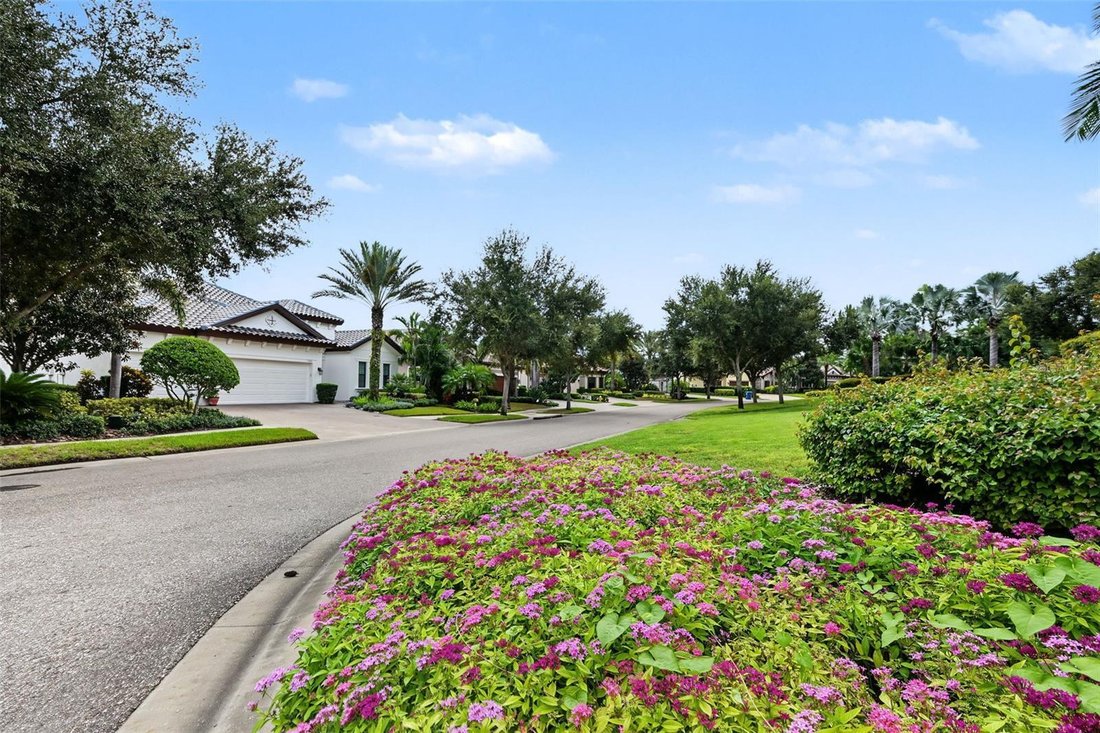 Casa a Palm Harbor, Florida, Stati Uniti 4 - 19046171