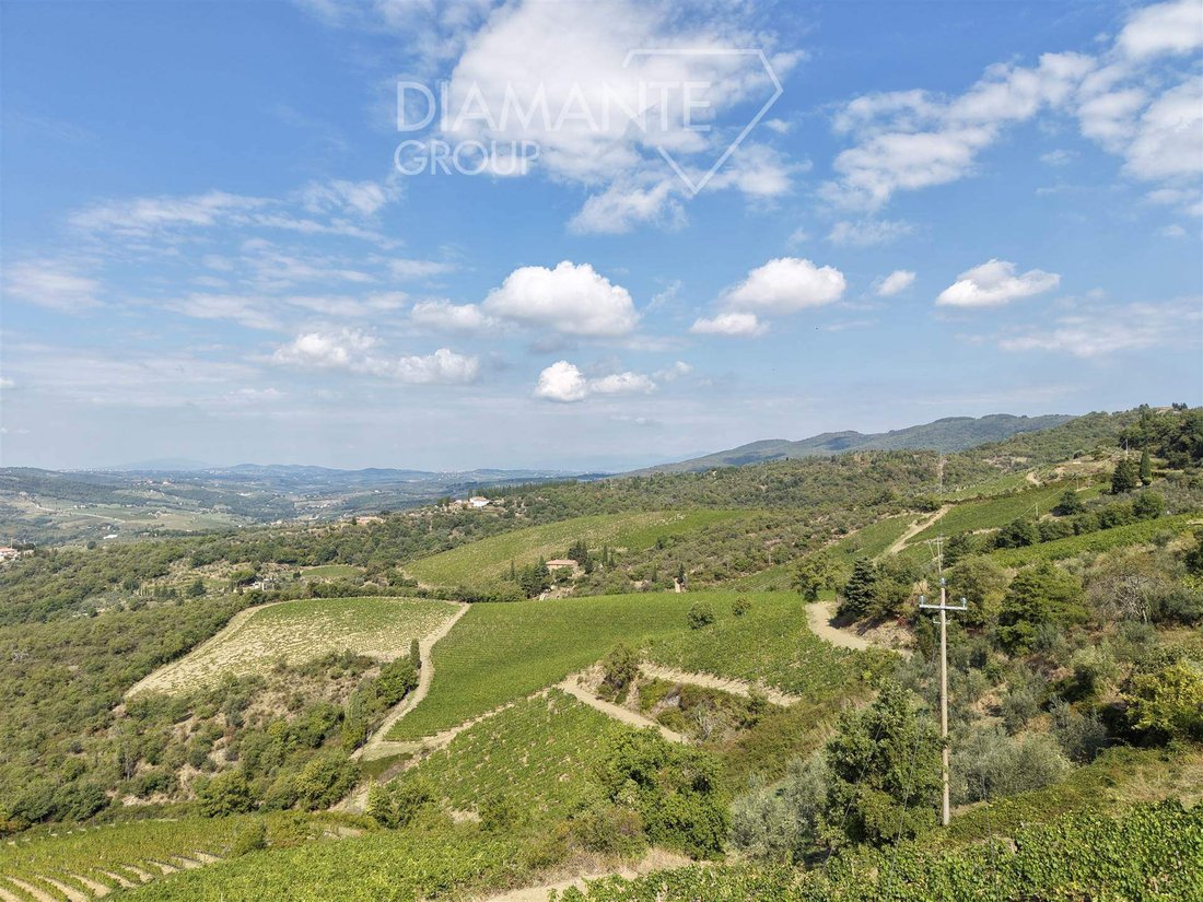 Country House in Centro, Greve in Chianti, Tuscany 3 - 19046800