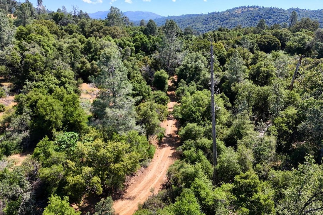 Land in Oakhurst, Kalifornien, Vereinigte Staaten 4 - 19048826