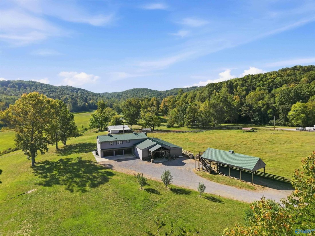Azienda agricola a Danville, Alabama, Stati Uniti 1 - 19045802