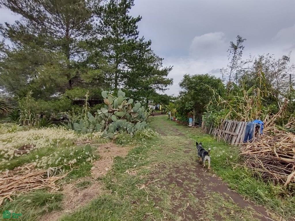 Land in Santa María Ajoloapan, State of Mexico, Mexico 4 - 19046238