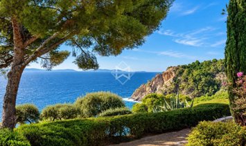 Villa in Rayol-Canadel-sur-Mer, Provence-Alpes-Côte d'Azur, France 2