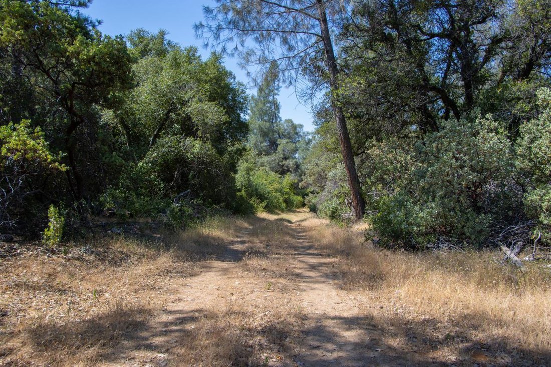 Land in Oakhurst, Kalifornien, Vereinigte Staaten 3 - 19048826