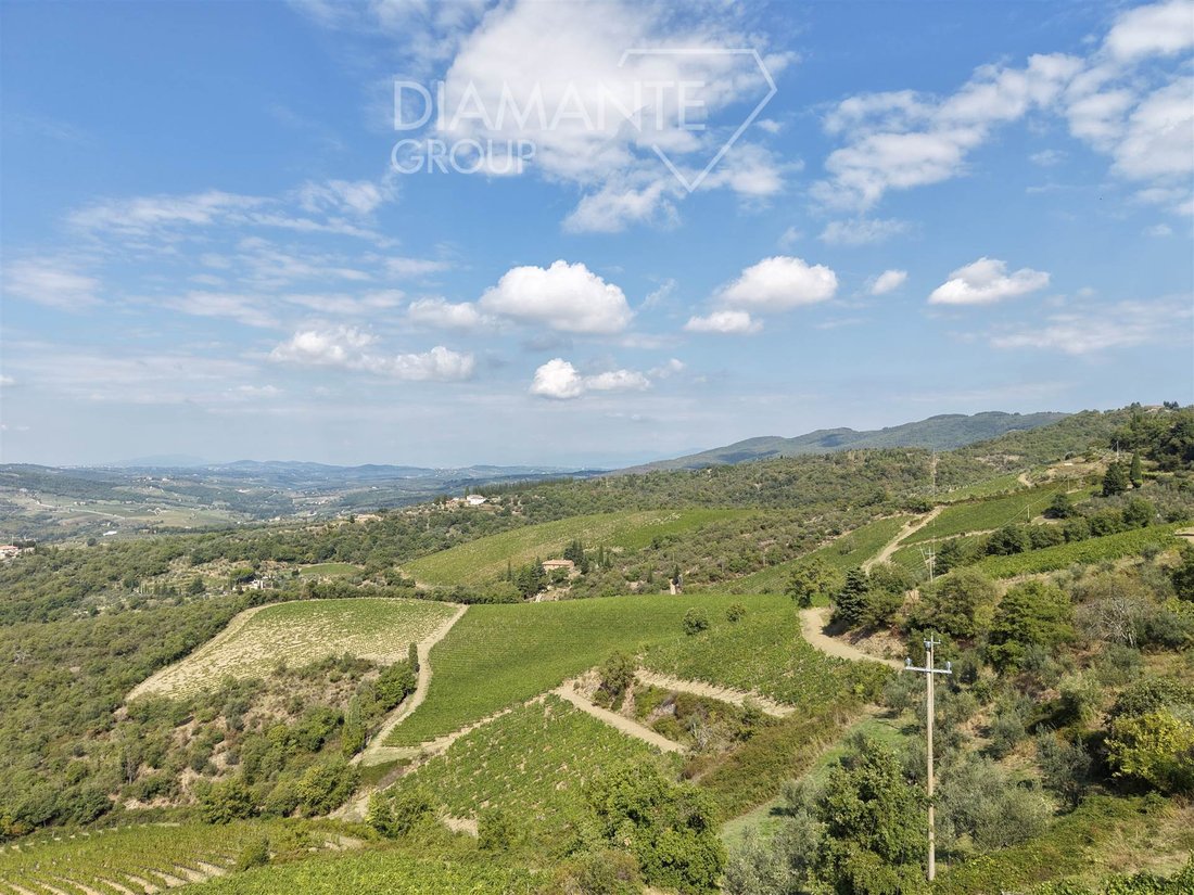 Country House in Centro, Greve in Chianti, Tuscany 1 - 19046800