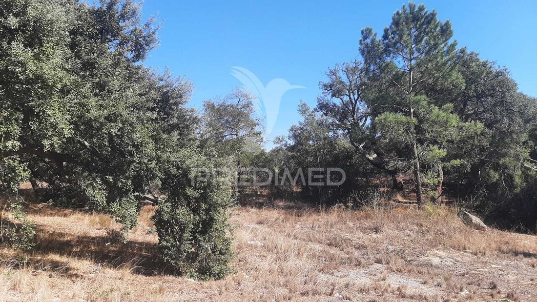 Land in Gambia-Pontes-Alto da Guerra, Setúbal Municipality, Portugal 5 - 19048933