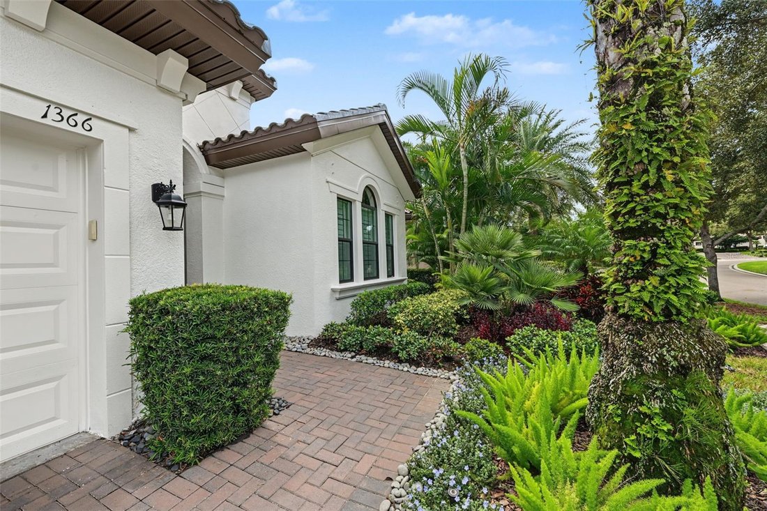 Casa a Palm Harbor, Florida, Stati Uniti 5 - 19046171