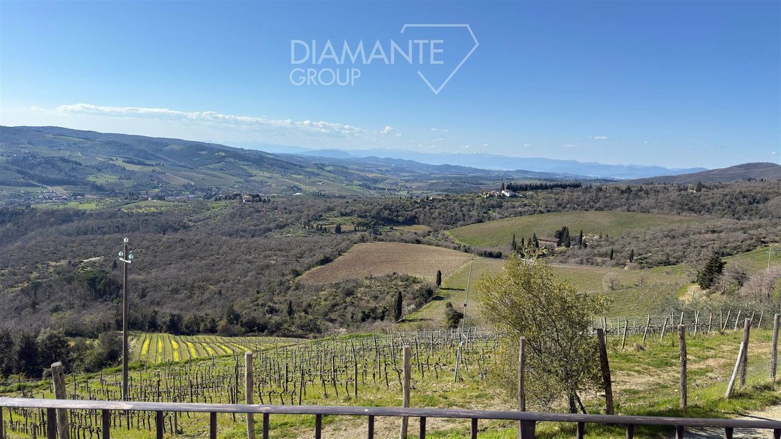 Country House in Centro, Greve in Chianti, Tuscany 4 - 19046800