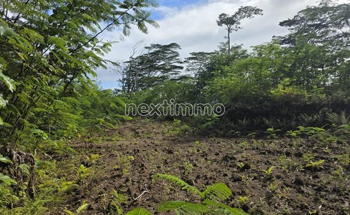 Terreno a Hitiaa O Te Ra, Isole del Vento, Polinesia Francese 1