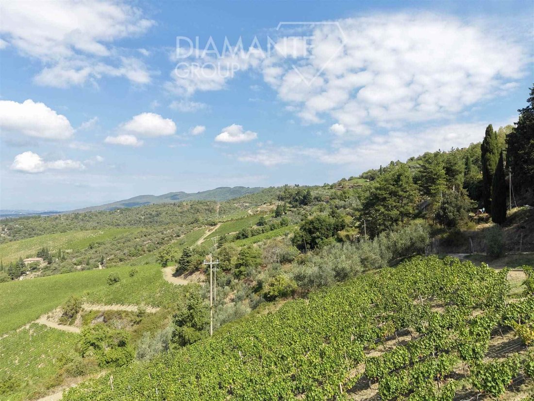 Country House in Centro, Greve in Chianti, Tuscany 2 - 19046800