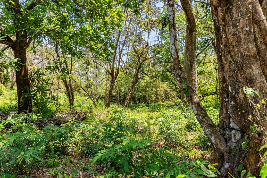 Terreno a Sámara, Provincia di Guanacaste, Costa Rica 4 - 17811180