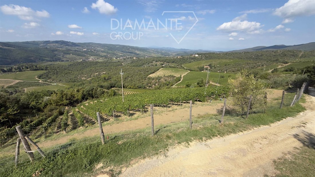 Country House in Centro, Greve in Chianti, Tuscany 5 - 19046800