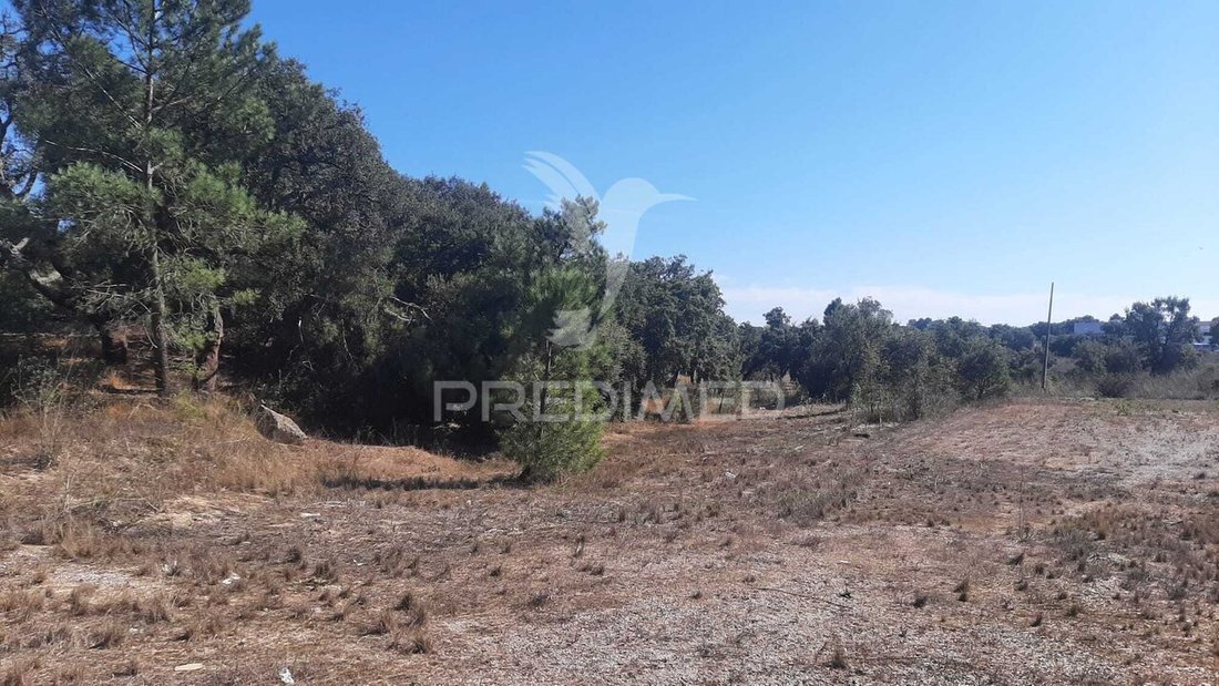 Land in Gambia-Pontes-Alto da Guerra, Setúbal Municipality, Portugal 3 - 19048933