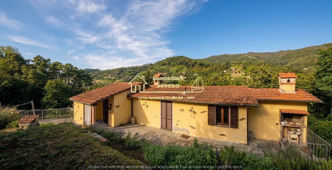 House in Strettoia-Capezzano-Valdicastello, Pietrasanta, Tuscany 4 - 19046441