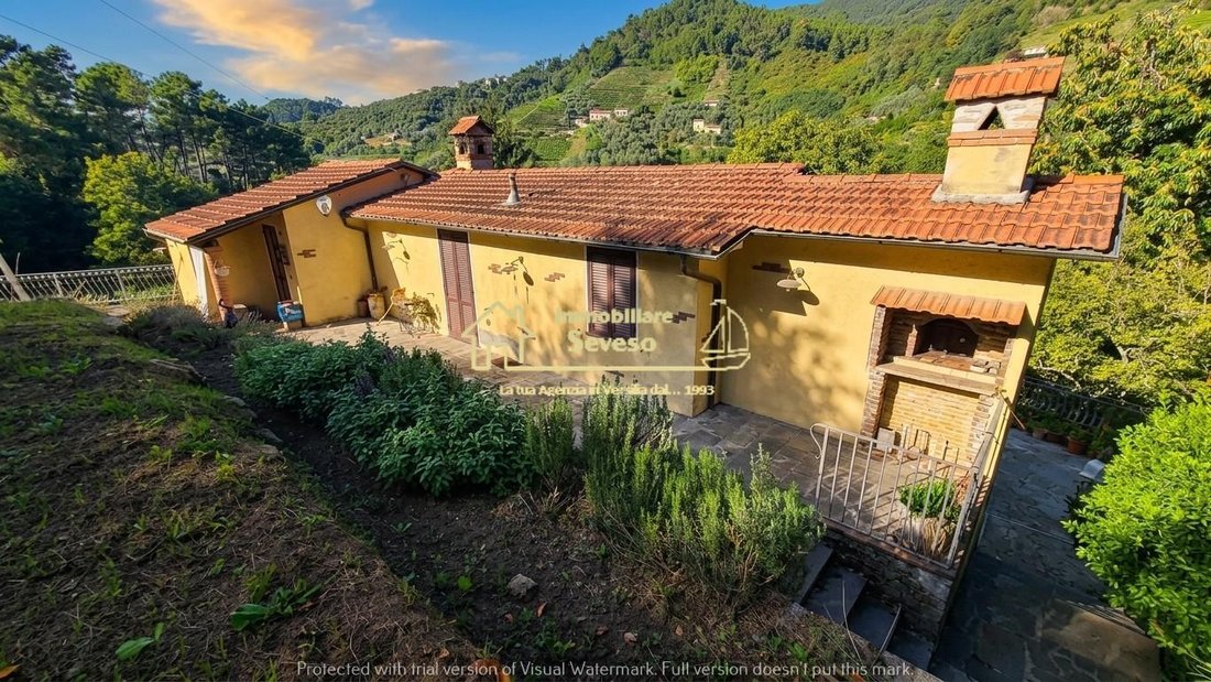 House in Strettoia-Capezzano-Valdicastello, Pietrasanta, Tuscany 5 - 19046441