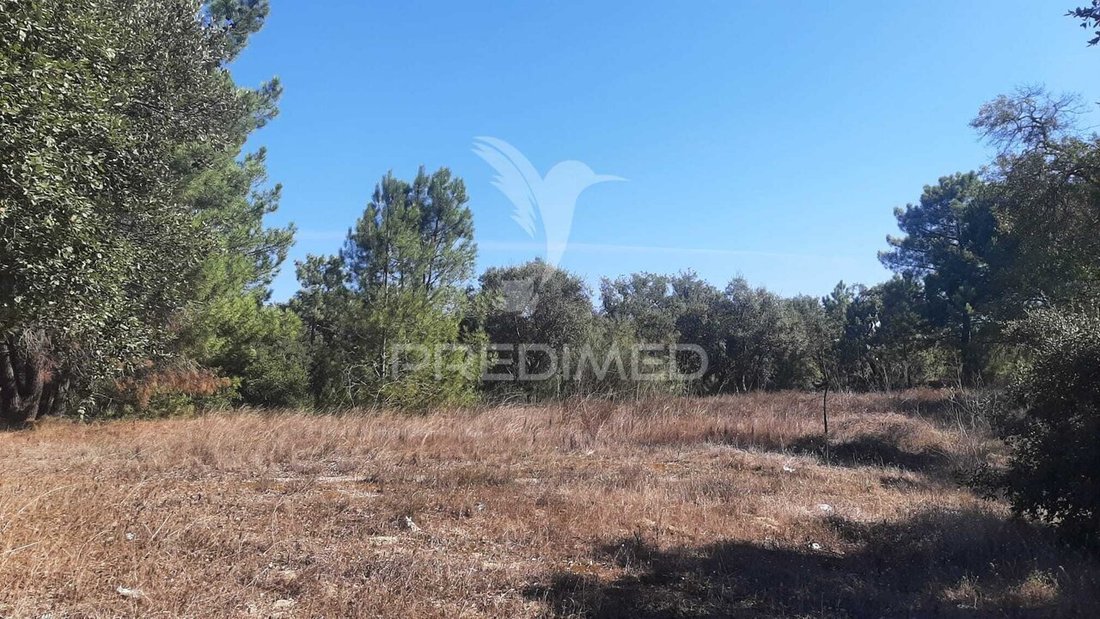 Land in Gambia-Pontes-Alto da Guerra, Setúbal Municipality, Portugal 4 - 19048933