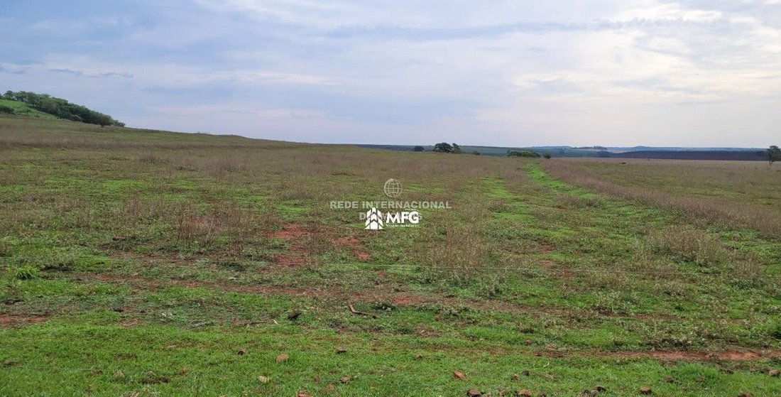 Rancho en Dourado, Minas Gerais, Brasil 4 - 19049529