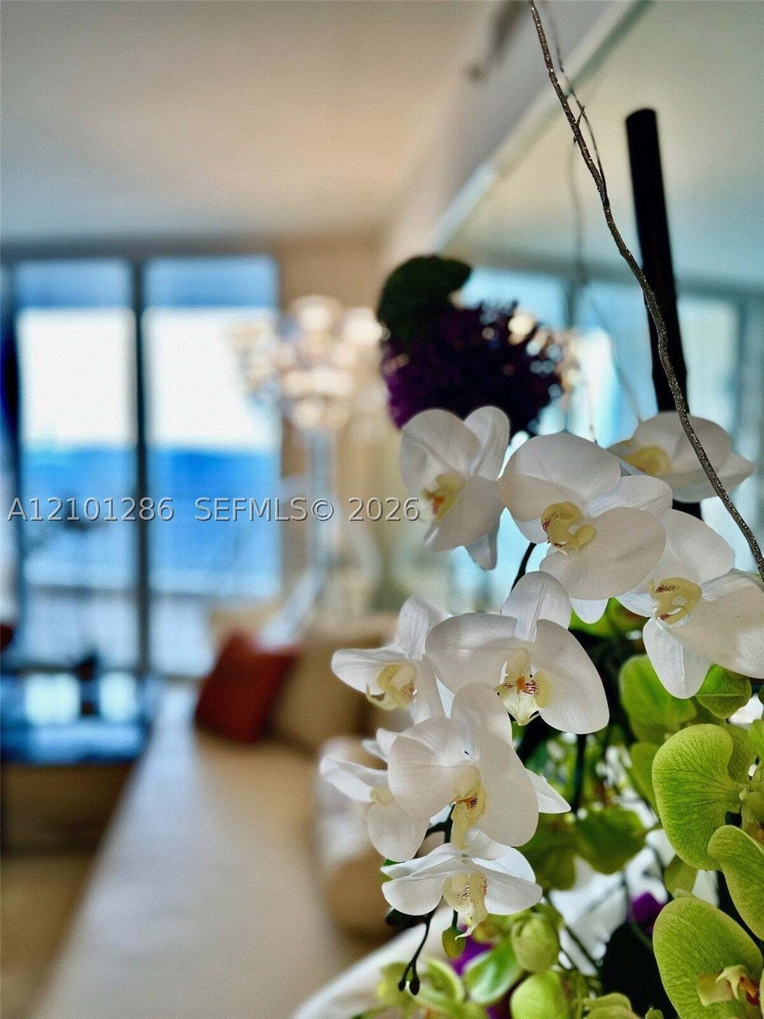 Condo in Miami, Florida, United States 5 - 19046044
