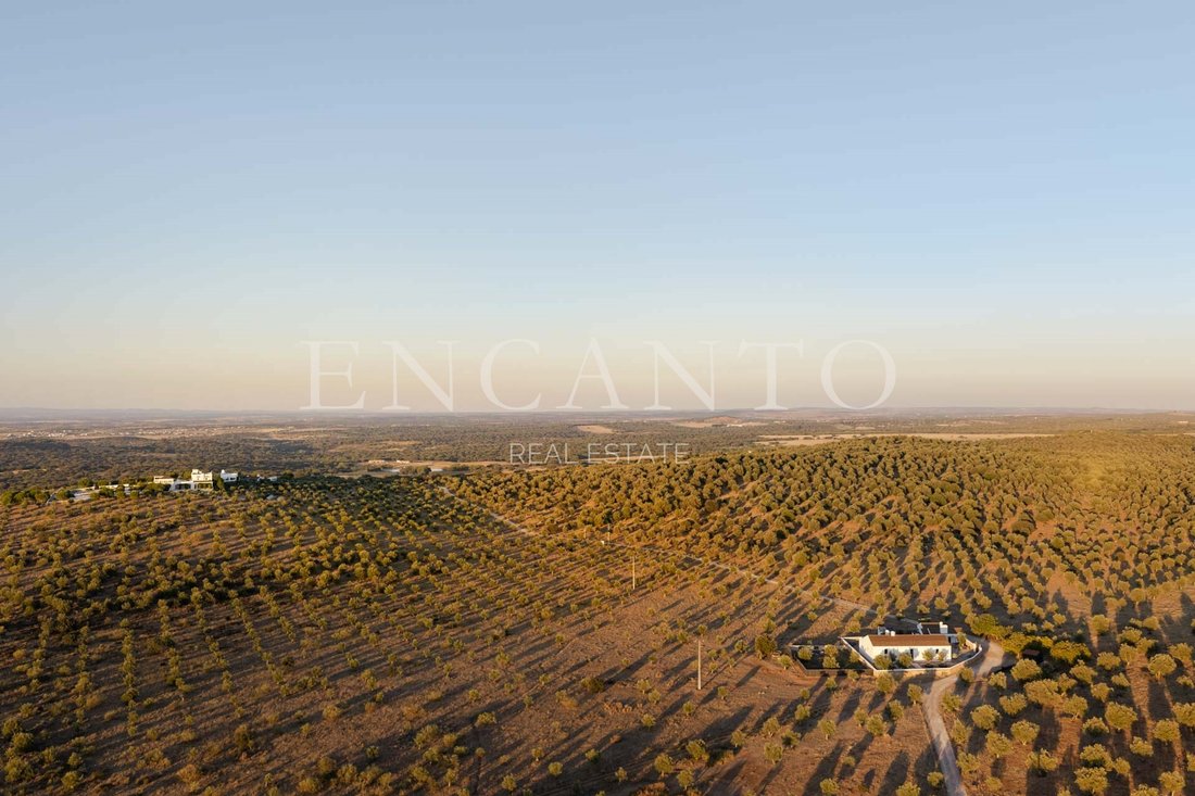 Estate in Estremoz (Santa Maria e Santo Andre), Évora District, Portugal 4 - 19049369