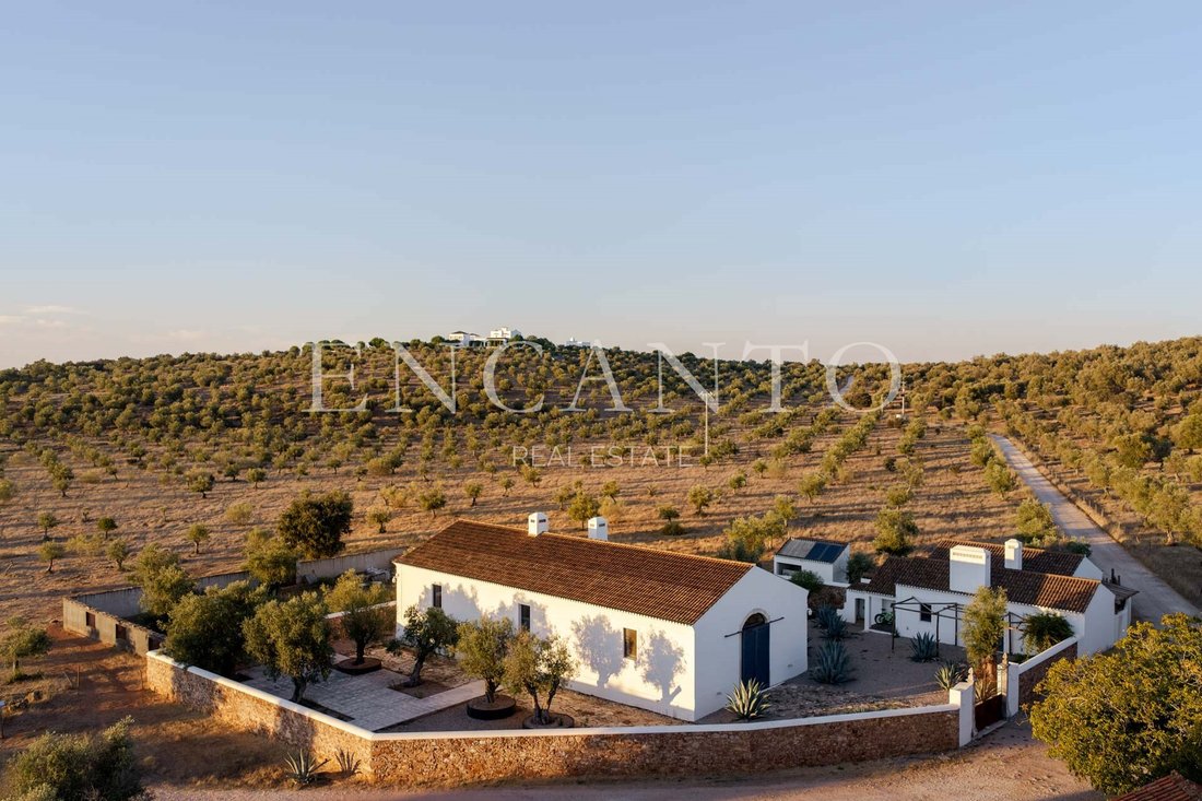 Estate in Estremoz (Santa Maria e Santo Andre), Évora District, Portugal 5 - 19049369